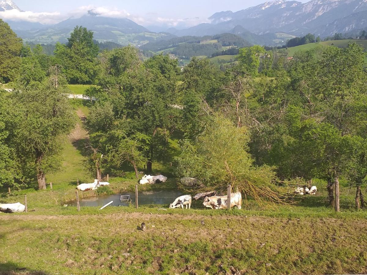 Landhotel Oberwengerhof Spital Am Pyhrn Bagian luar foto